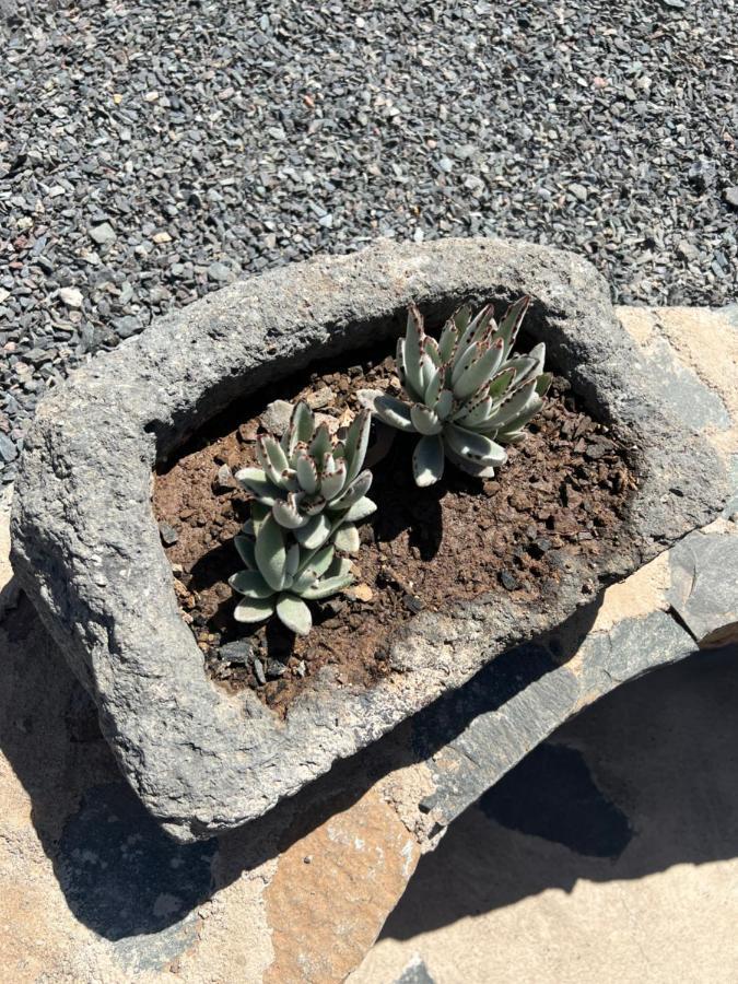 Casa Rural Con Bano Adaptado Y Piscina En Mogán 外观 照片